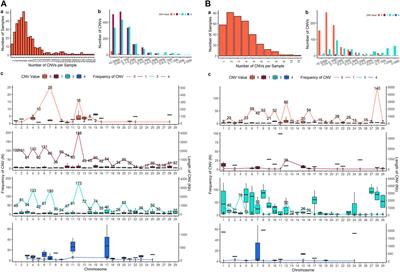 Discovering Copy Number Variation in Dual-Purpose XinJiang Brown Cattle